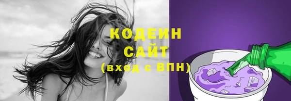 прущие крисы Няндома