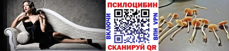 Псилоцибиновые грибы ЛСД Нефтекумск